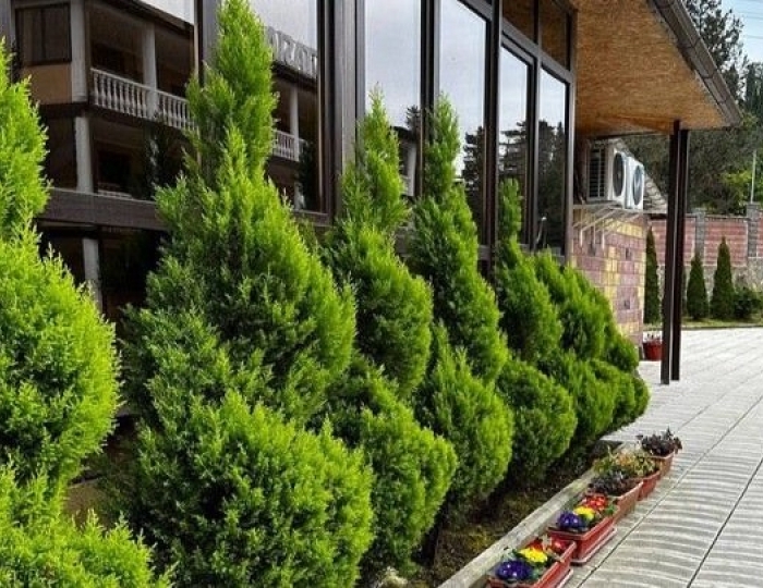 Отель «Анастасия» Гудаута