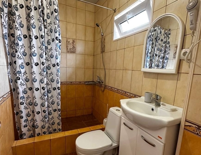 Стандарт 2-местный 1-комнатный - Отель «Анастасия» Гудаута